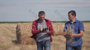 团队<strong>农业</strong>智慧<strong>农业</strong>理念.. 两个男人的农民在<strong>数字</strong>技术上的田野上漫步在干草堆上